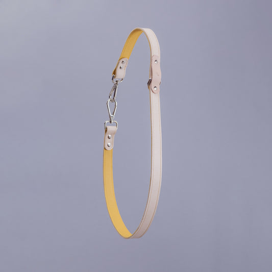 3-way Leash