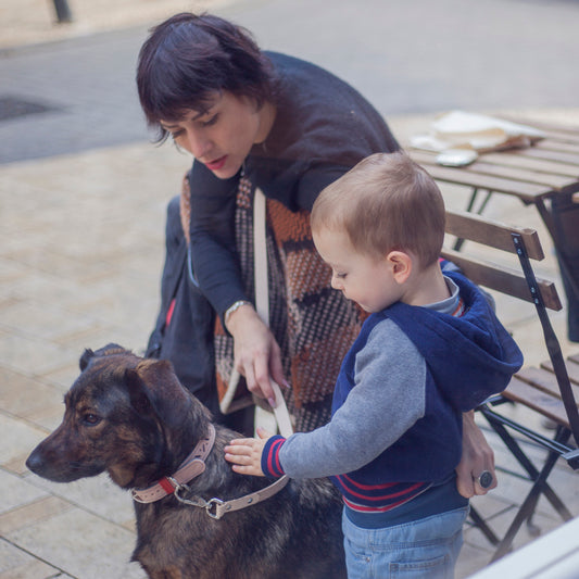 Gerlits Réka & Sercli