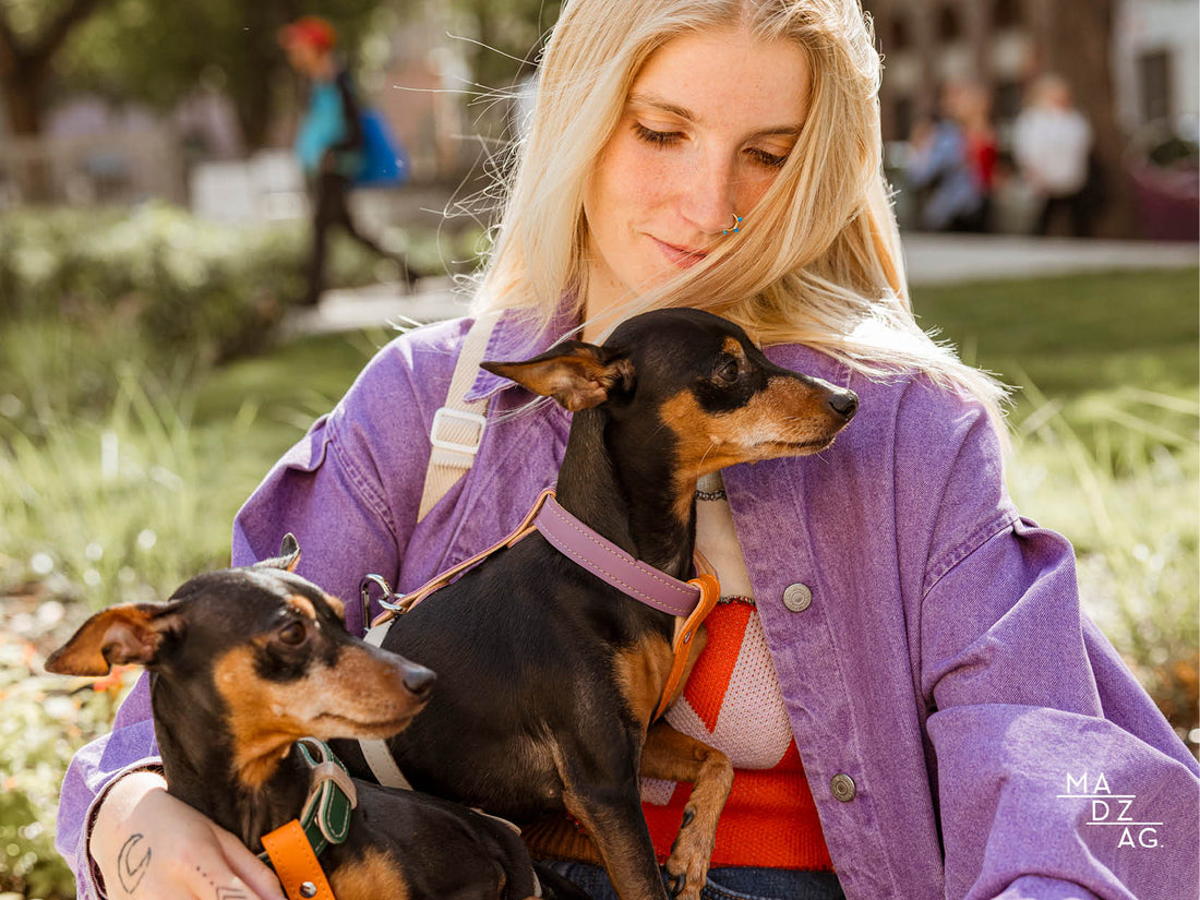 Eged Enikő Katalin, Szonja és Szusi