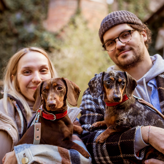 Radóci Lilla & Bőhm Attila & Chili & Cocoa