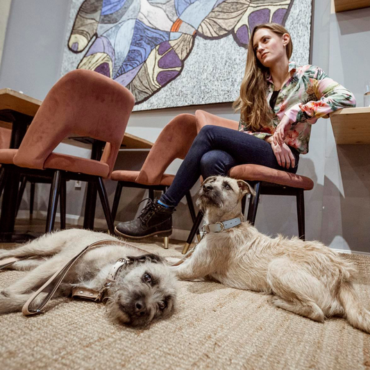 Sztarenki Dóri & Csipesz & Szotyi