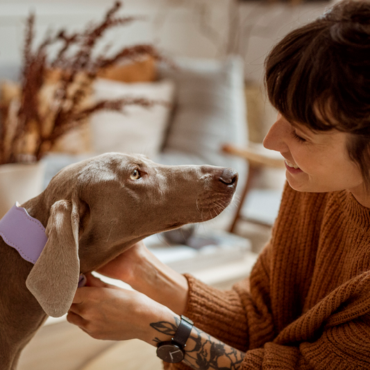 Haberland Filoména és Hanga