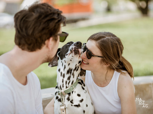 Kiss-Benedek Kristóf, Szűcs Bettina & Orion, a legcoolabb négylábú filozófus a városban