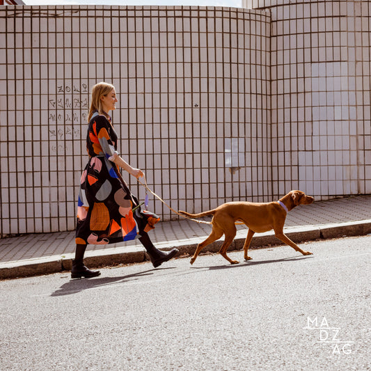 Horváth Alexandra & Barka