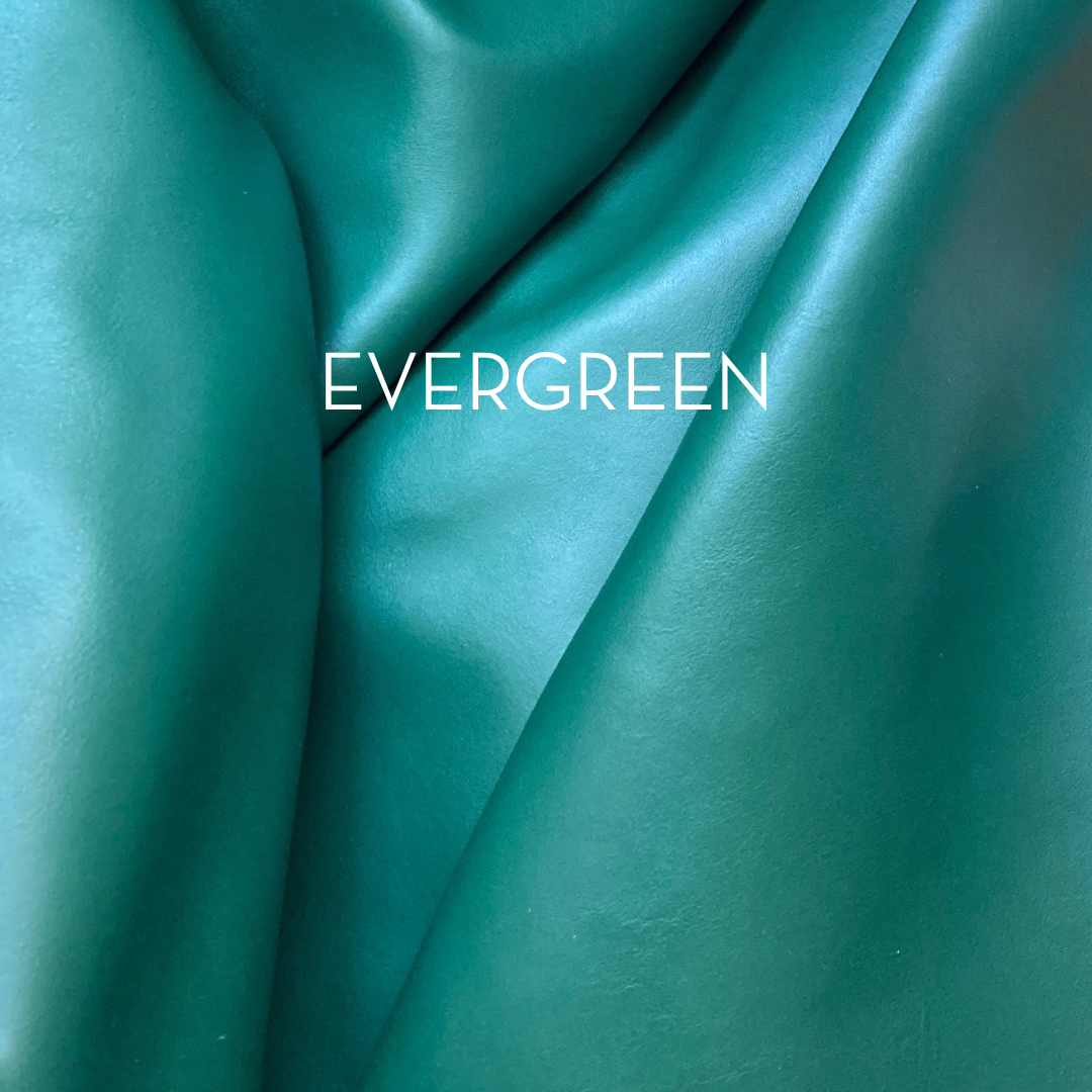 Simple Leash- for taller dogs and those who prefer to keep their dogs closer