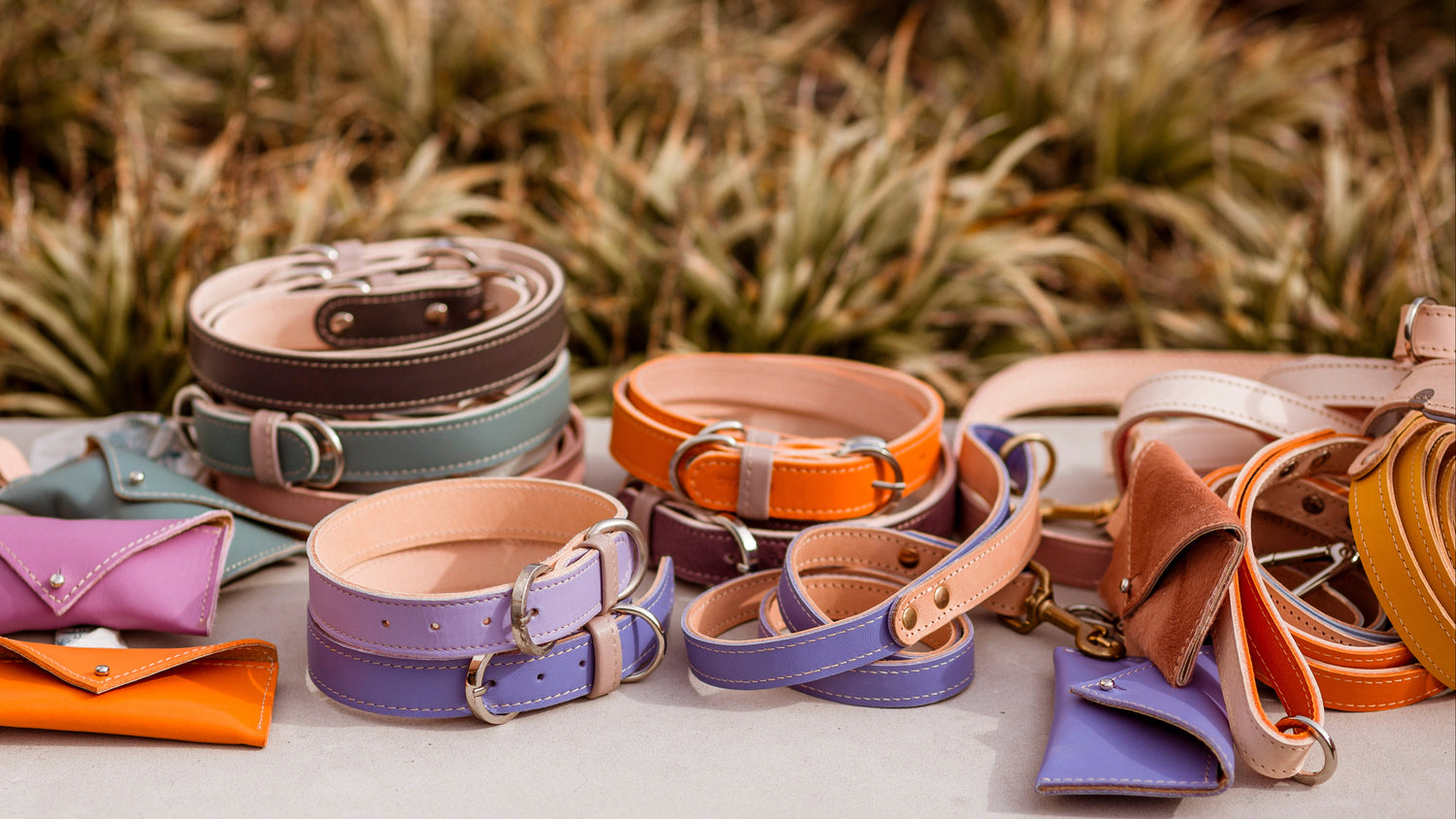 A collection of colorful leather dog collars and leashes and small matching wallets that are for the wastebags arranged on a concrete ledge outdoors, with blurred greenery in the background.