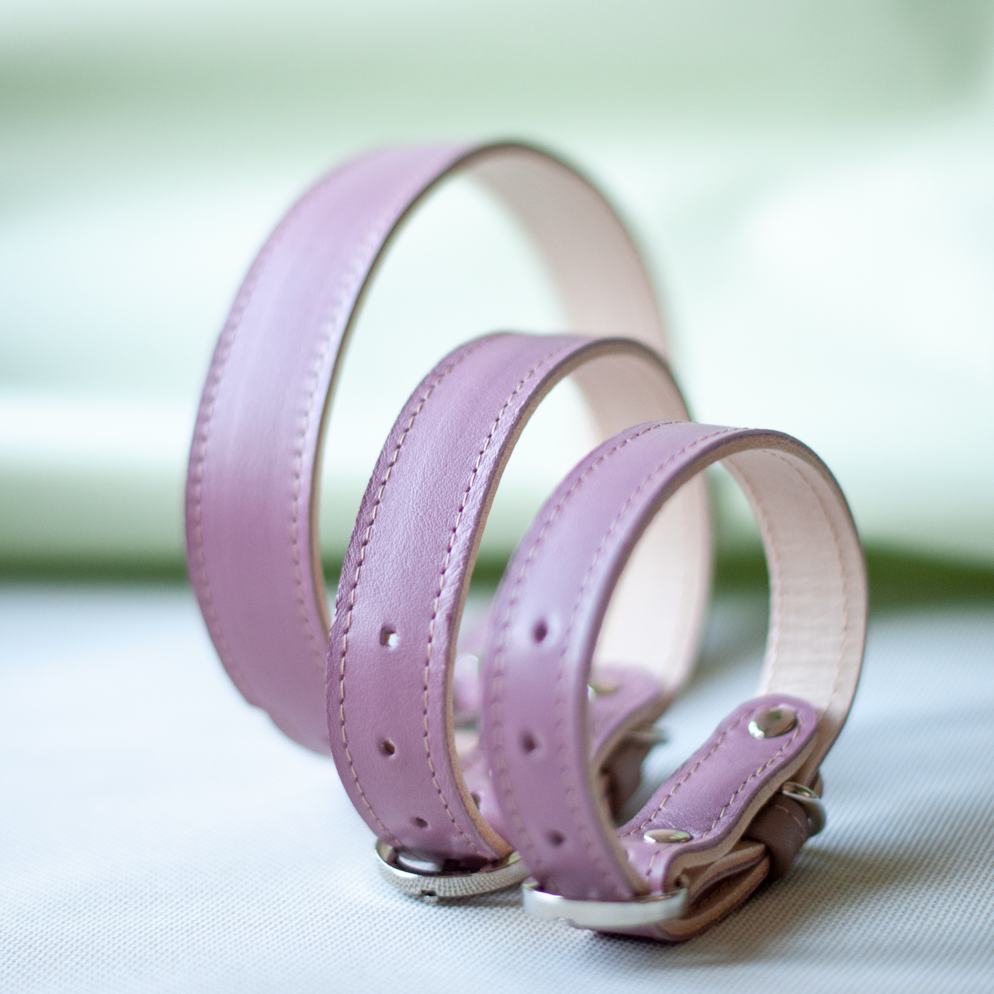 Basic nyakörv rövidebb nyakú kutyáknak