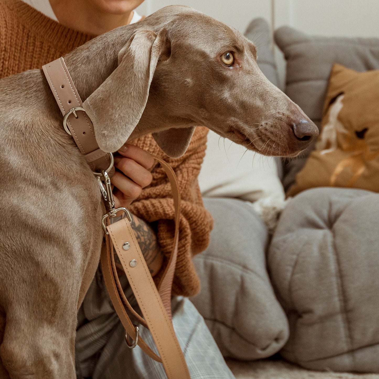 Basic nyakörv hosszabb nyakú kutyáknak