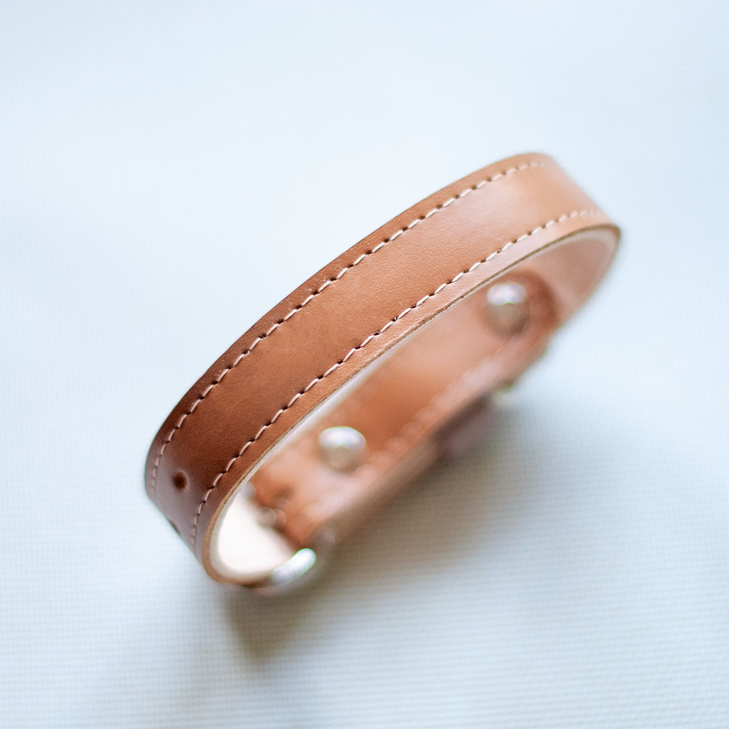 Basic nyakörv rövidebb nyakú kutyáknak