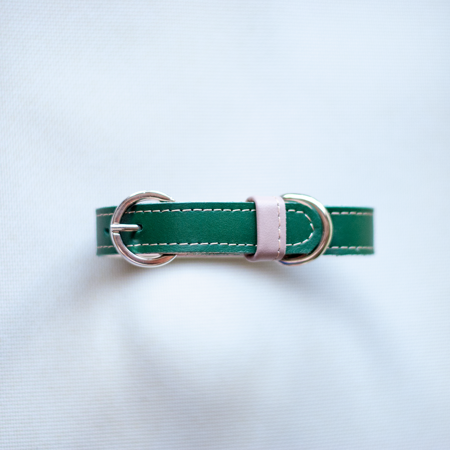 Basic nyakörv rövidebb nyakú kutyáknak