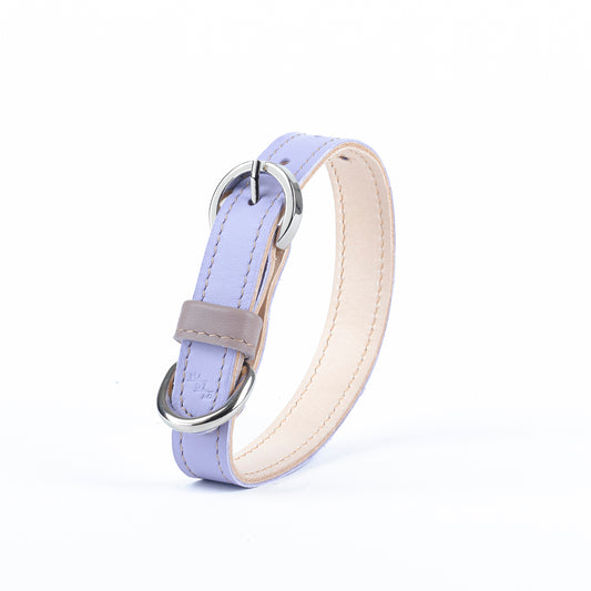 Basic Collar for dogs with shorter neck