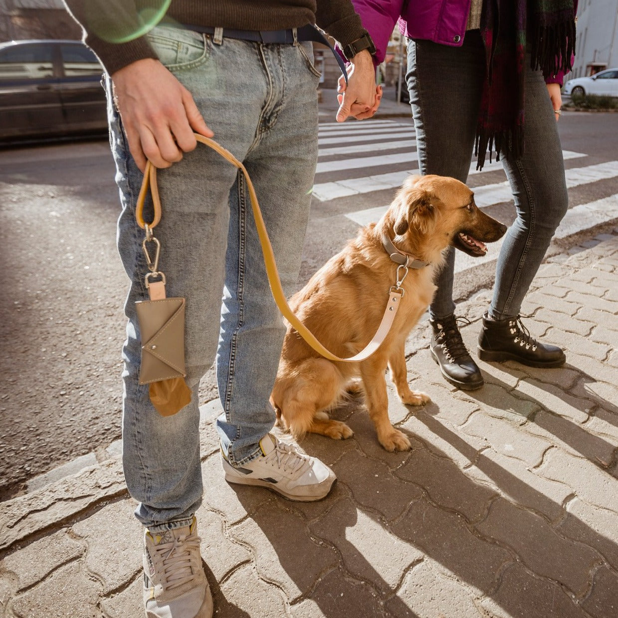 Simple Leash- for taller dogs and those who prefer to keep their dogs closer