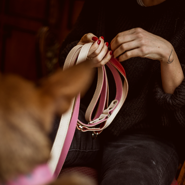 Long Póráz -alacsonyabb kutyáknak, vagy sétára a szabadban