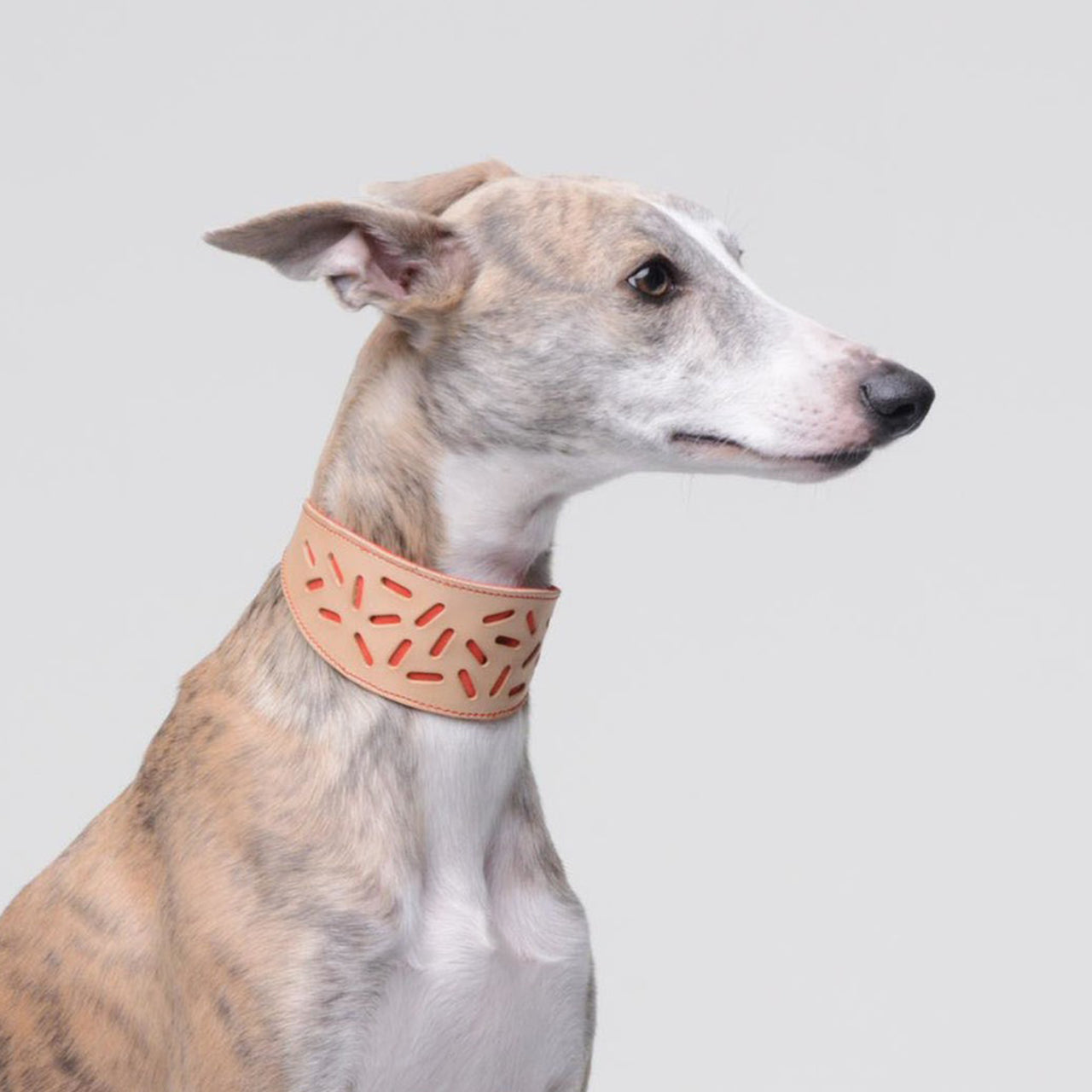 Red Greyhound Leather Collar from the Bauhaus Collection