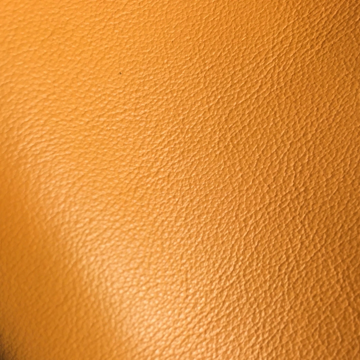 Basic nyakörv hosszabb nyakú kutyáknak