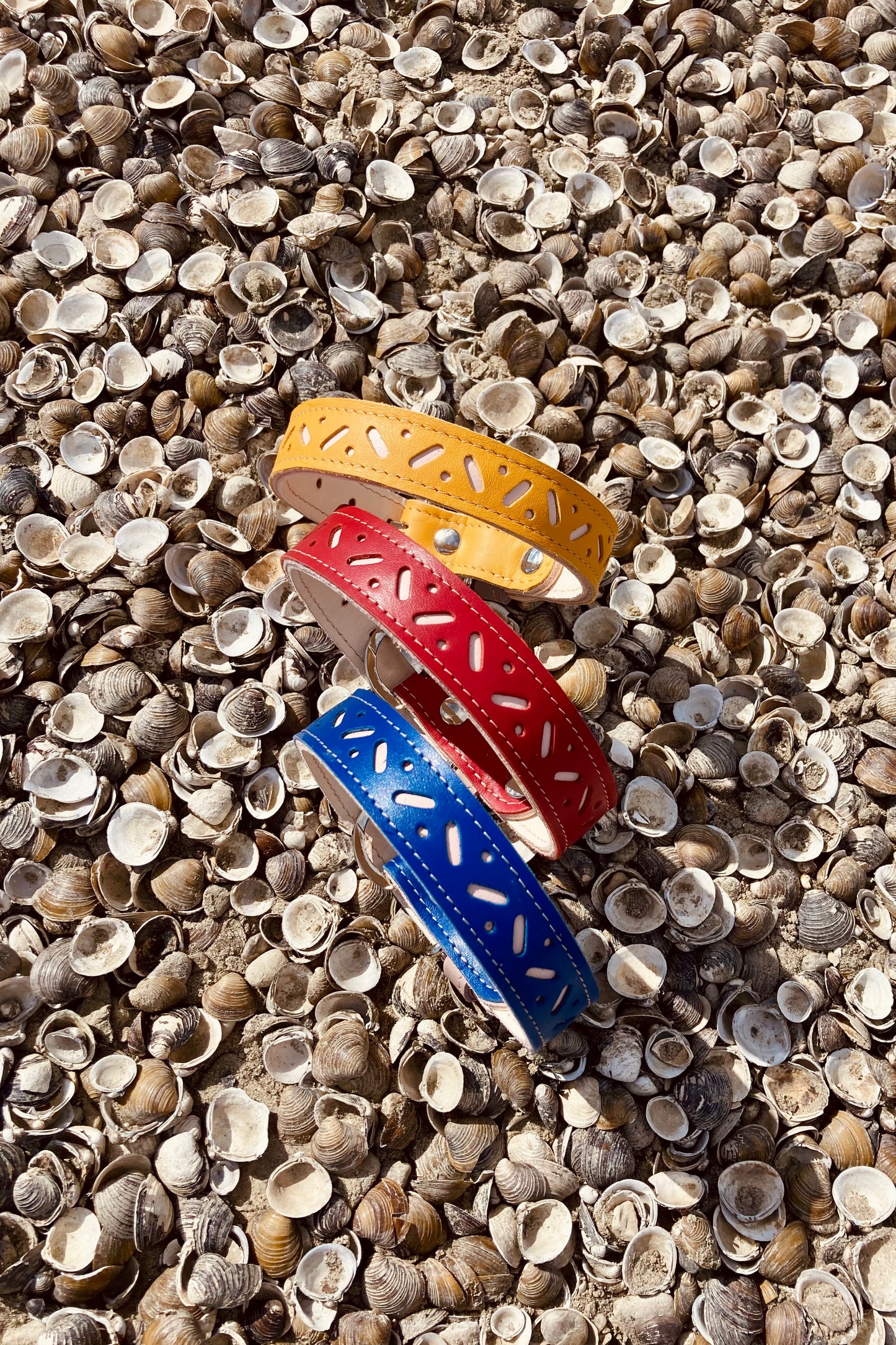 Limited edition New Bauhaus collar for dogs with shorter neck