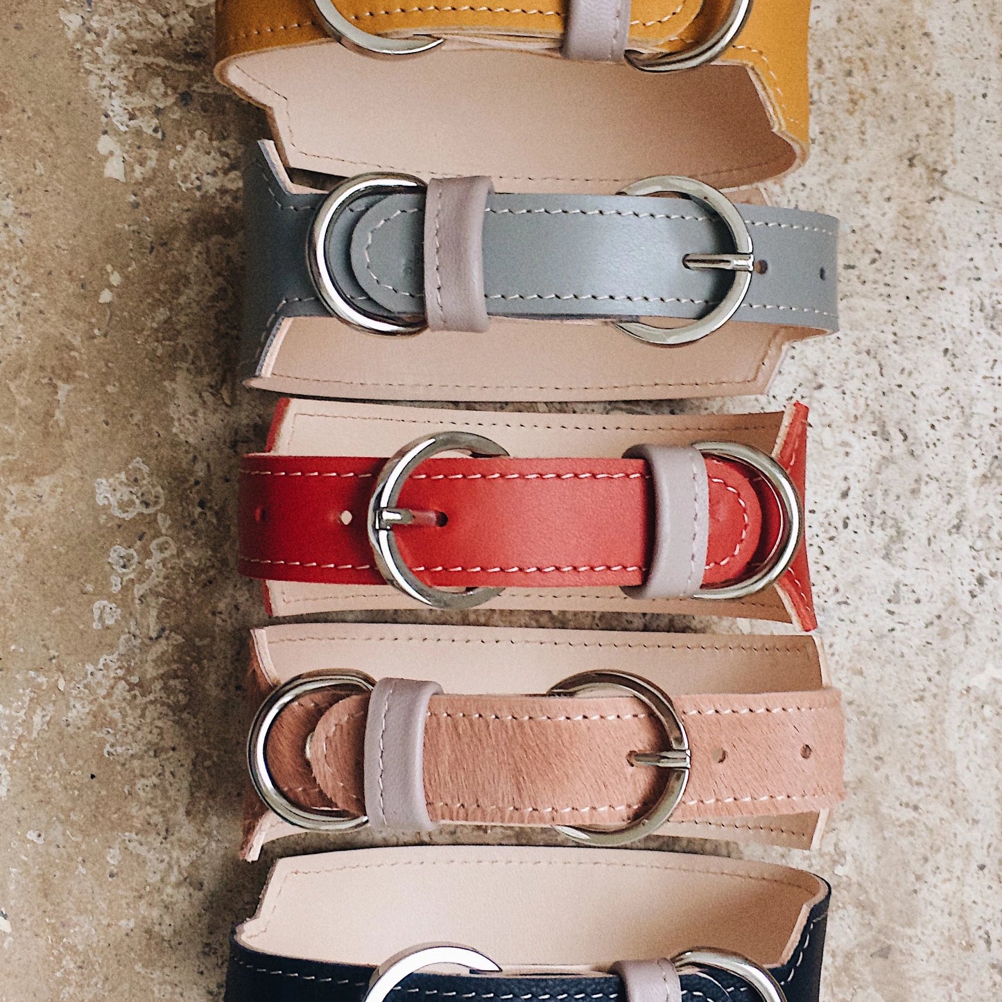 Basic nyakörv hosszabb nyakú kutyáknak