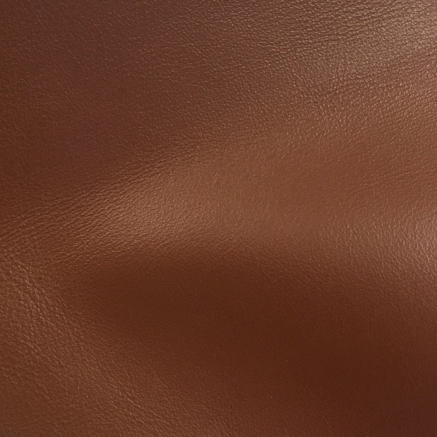 Basic nyakörv hosszabb nyakú kutyáknak