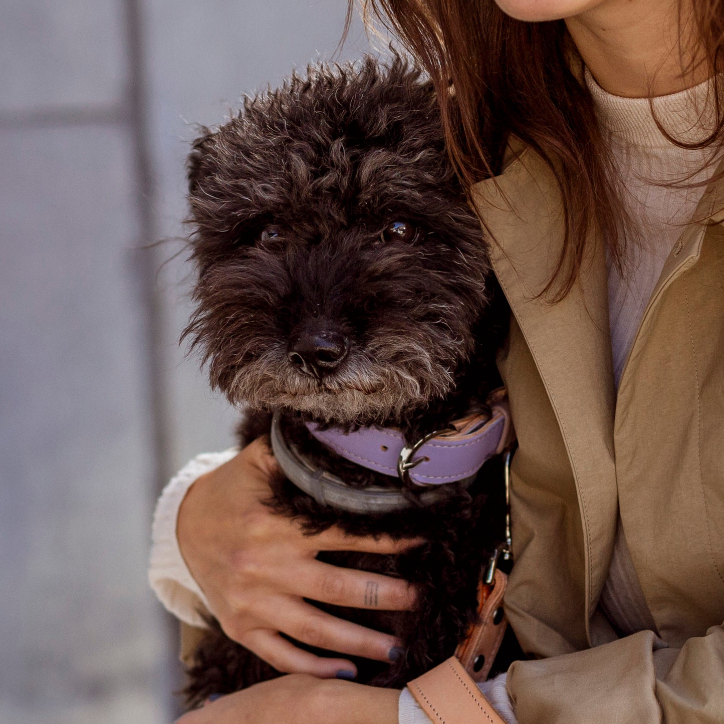 Basic nyakörv rövidebb nyakú kutyáknak