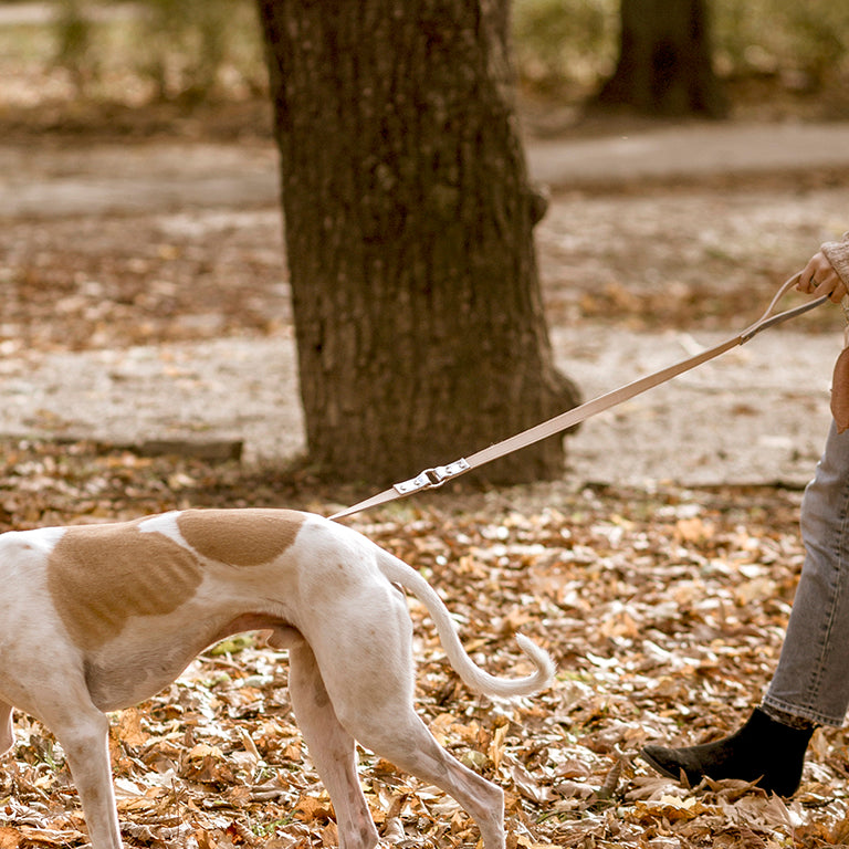 Moonshine Long póráz